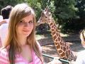 Giraffe mag Regina